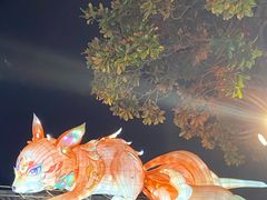 -横店影视城梦幻谷园区