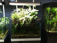 -银座商城(东城店)