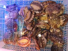 六头鲍鱼-捞围鲜·港式打边炉(海阳路店)