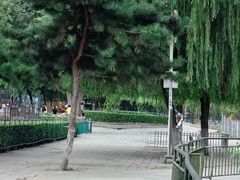 -保定市动物园