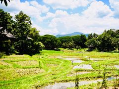 -四季酒店下午茶