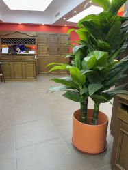 -贝勒爷专业男发