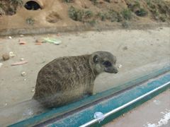 -秦皇岛野生动物园