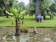 -中国科学院西双版纳热带植物园