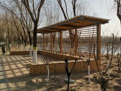 -大兴滨河森林公园