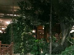 -南宫温泉水世界