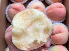 -老袁家蜜桃农场·阳山水蜜桃