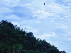 -北岐滩涂