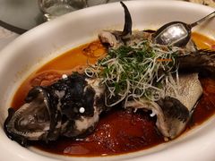 清蒸石斑鱼-酌宴府The China Club·广州万富希尔顿酒店(云城东路店)
