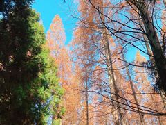 -上海怡沁园度假酒店