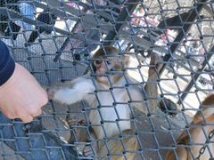 -长白岛森林公园