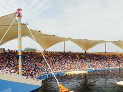 -秦皇岛乐岛海洋王国