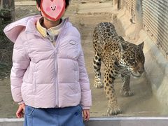 -济南野生动物世界