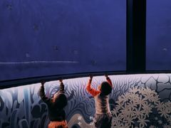 -沈阳海洋探索中心