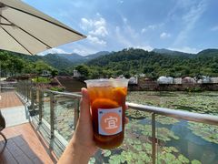 -南丹山森林王国