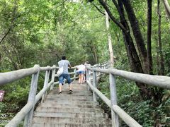 景点-九皇山景区