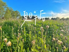 -天津东丽湖风景区