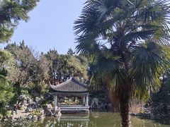 -叶家花园