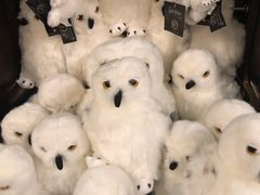 -九又四分之三站台哈利波特商店