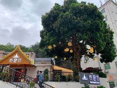 -泰堤坊(淡水体育馆店)