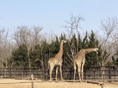 -济南野生动物世界