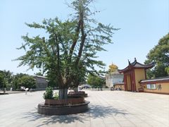 -上海东林寺(金山区)