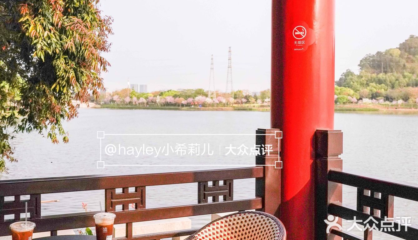 “啡”尝大良 │ 顺峰山公园里飘出浓浓咖啡香 