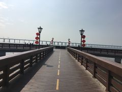 -宝安西湾红树林湿地公园