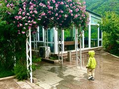 -金岳台私汤温泉度假山庄·创意餐厅(昌平十三陵店)