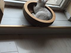 -青春加萌照相馆