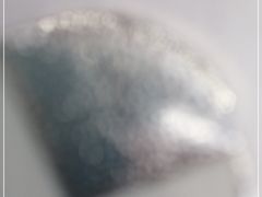 -永和大王(宜山店)