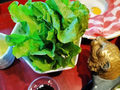 生菜-袁老四重庆老火锅(桐梓坡店)
