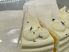 -St蛋糕王国(亨特店)