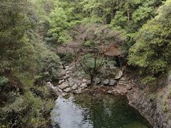 -花岩国家森林公园