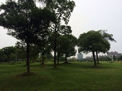 iphone_upload_pic-同济大学(嘉定校区)