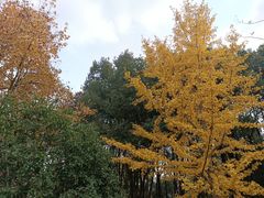 -昆山城市生态森林公园