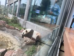 -沈阳森林动物园