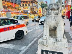 -国际通