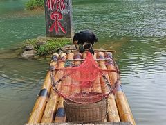 -靖西鹅泉风景区