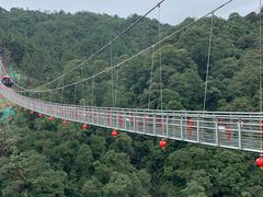 -九龙江国家森林公园