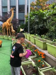 -可可天空农场(中大店)