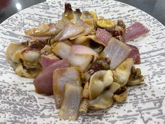 红膏蚌-蚝专家(北滘店)