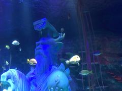 -沈阳海洋探索中心