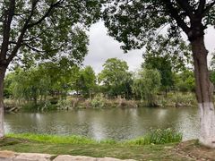 -西京湾花海