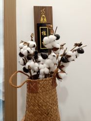 -御品•瑶浴灸疗SPA