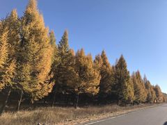 -塞罕坝国家级自然保护区