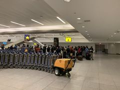 -约翰·菲茨杰拉德·肯尼迪国际机场