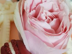 -派悦坊·甜品·蛋糕(日坛店)