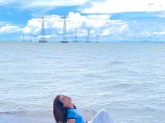 -宝安西湾红树林湿地公园