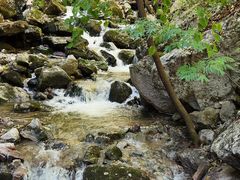 -青峰峡国家森林公园